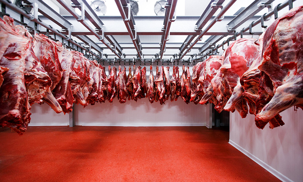 Et ve Tavuk Soğuk Oda - 2